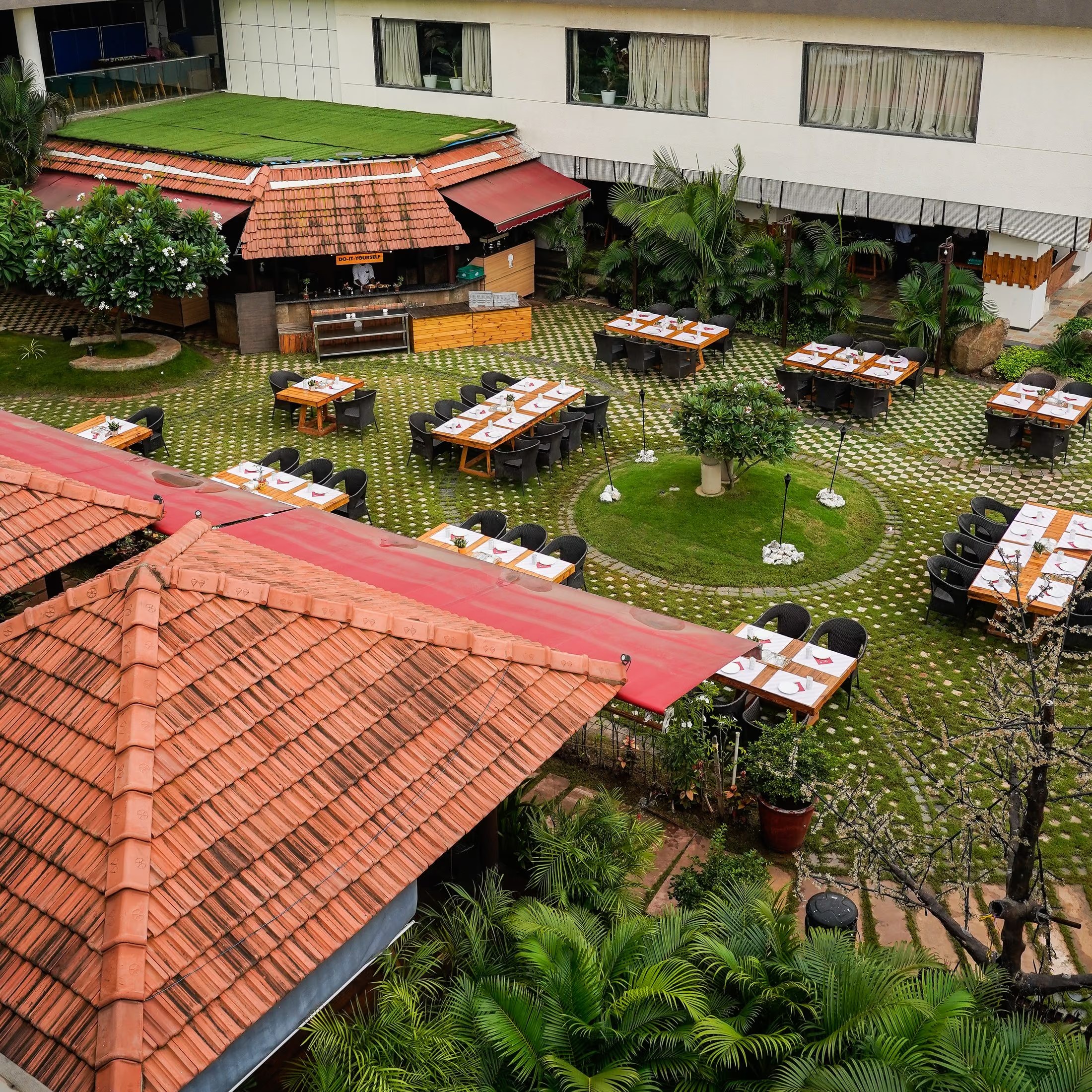 Under The Canopy 5